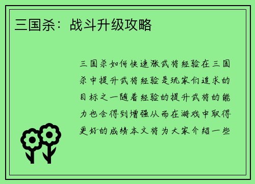 三国杀：战斗升级攻略